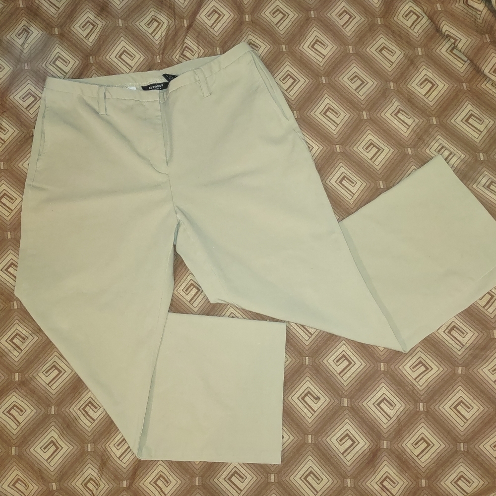 Express Khaki Stretch Pants 9/10